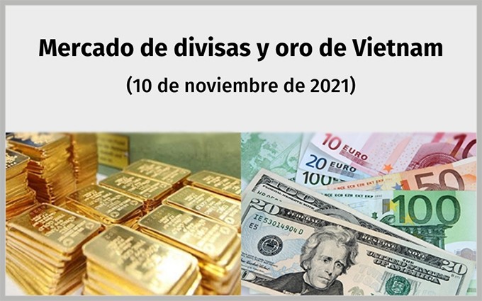 Infografía: Mercado de divisas y oro de Vietnam - 10 de noviembre
