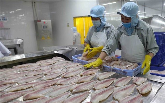 Aumentan oportunidades para exportaciones de pangasius vietnamita a Brasil.