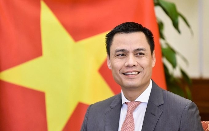 El viceministro Dang Hoang Giang. (Fotografía: VNA)