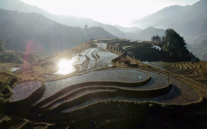  Agencia de noticias francesa resalta belleza de terrazas de arroz de Mu Cang Chai.