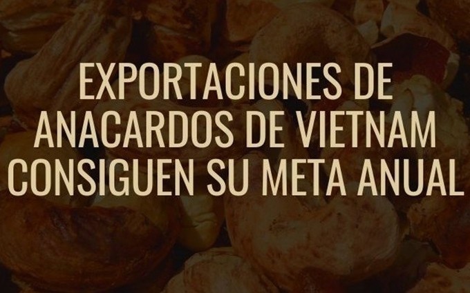 Infografía: Exportaciones de anacardos de Vietnam consiguen su meta anual