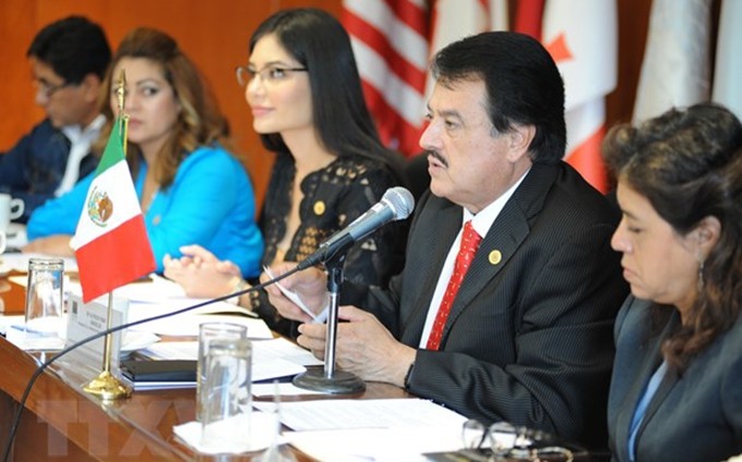 El presidente de la Comisión de Relaciones Exteriores de la Cámara de Diputados de México, Alfredo Femat Bañuelos. (Fotografía: VNA)