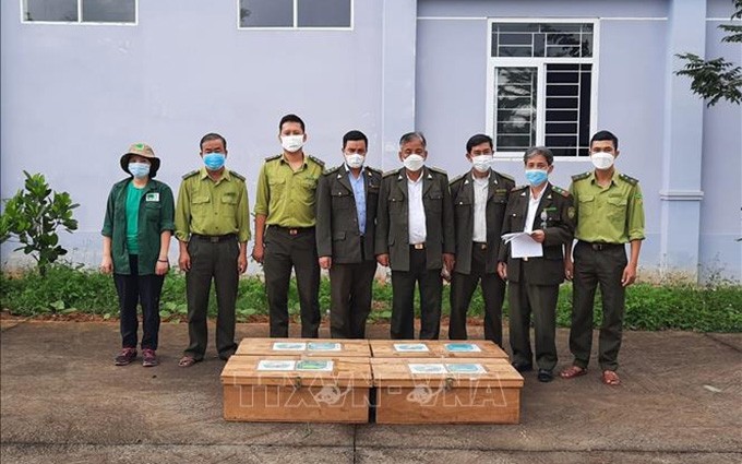 Equipo de trabajadores del Centro de Rescate del Parque Nacional recibe las especies (Fotografía: VNA)