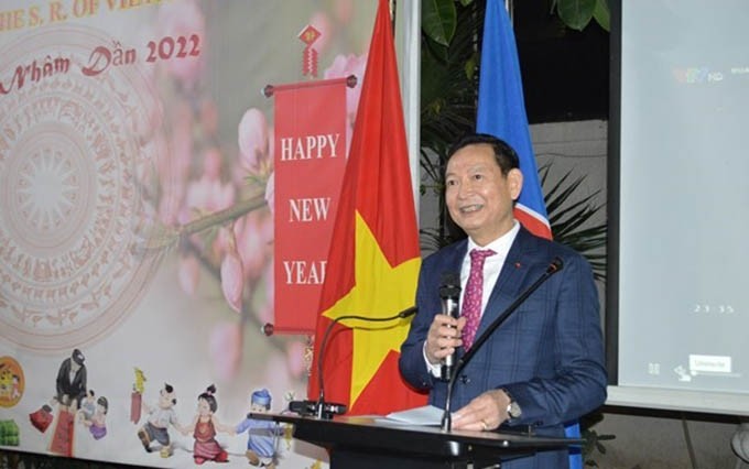 El embajador vietnamita en Egipto, Tran Thanh Cong. (Fotografía: VNA)
