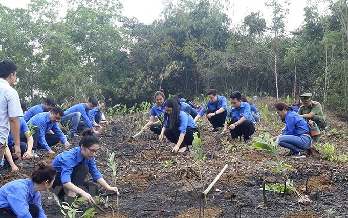 Vietnam lanza movimiento de plantar árboles.