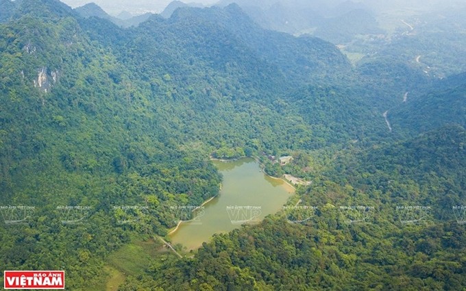 Cuc Phuong es el primer parque nacional de Vietnam, establecido en 1962 a 120 kilómetros de Hanói, en el territorio de tres provincias: Ninh Binh, Hoa Binh y Thanh Hoa.(Fotografía: VNA)