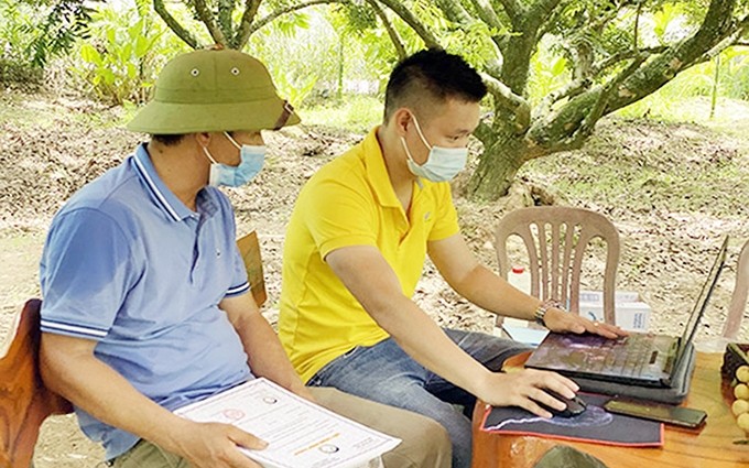 Trabajador postal instruye a los agricultores de la provincia de Hung Yen para que vendan longan en la plataforma de comercio electrónico.