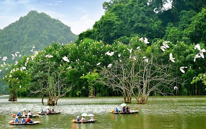 Infografía: Estrategia de Vietnam sobre biodiversidad para 2030, con visión hacia 2050