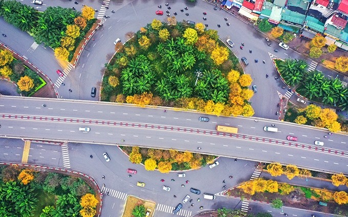 Las calles de Hanói colmadas de hojas doradas de Bang.
