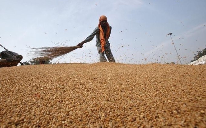 Los precios de los alimentos en el mundo han aumentado significativamente. (Fotografía: Reuters/VNA)