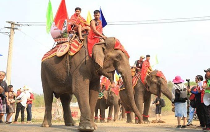La carrera de elefantes.