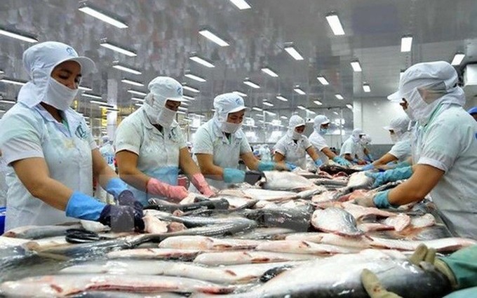 Aumentan exportaciones de pescado Tra vietnamita a Europa.
