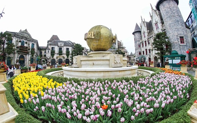 Área del parque en Sun World Ba Na Hills con tulipanes floreciendo brillantemente para el día de reapertura. (Fotografía: VNA)