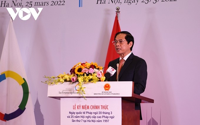 Ministro vietnamita de Relaciones Exteriores, Bui Thanh Son, interviene en el evento (Fotografía: VOV)