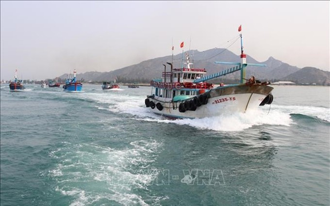 La provincia de Ninh Thuan impulsa el combate contra la pesca ilegal. (Fotografía: VNA)
