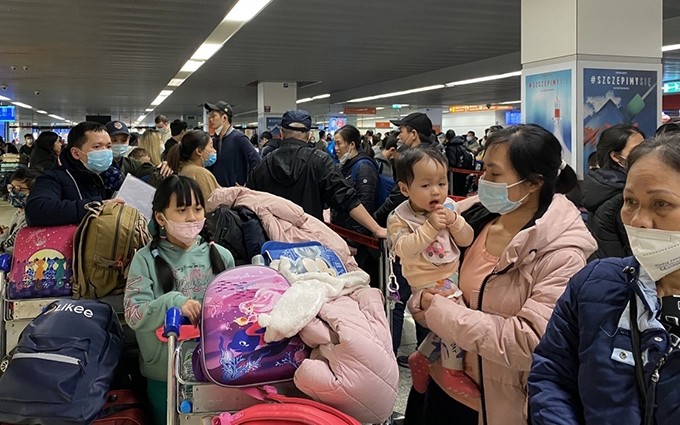 Vietnamitas evacuados de Ucrania regresan a la Patria (Fotografía: VOV)