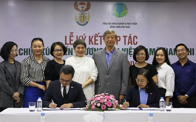 Representantes de la Oficina Consular Honoraria de Sudáfrica en Ciudad Ho Chi Minh y la Asociación General de Agricultura y Desarrollo Rural de Vietnam firman un memorando de cooperación.