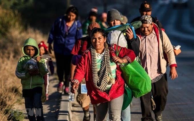 Migrantes centroamericanos en Tijuana, México. (Fotografía: AFP/VNA)