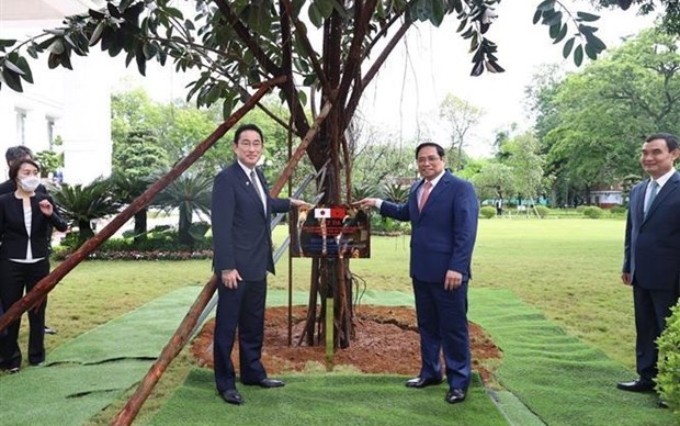  El primer ministro de Vietnam, Pham Minh Chinh (D) y su homólogo japonés, Kishida Fumio (I) (Foto: VNA)