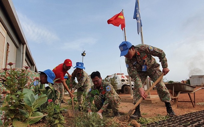 Oficiales y médicos de los hospitales de campaña de segundo nivel número 3 y 4 de Vietnam participan activamente en la siembra de árboles en la base de Bentiu, Sudán del Sur. (Fotografía: Nguyen Dam)