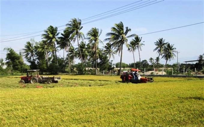 Buscan más oportunidades de fomentar la cooperación agrícola entre Vietnam y la UE. (Fotografía: VNA)