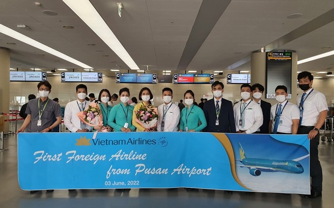 Vietnam Airlines vuelve a operar la ruta entre Hanói y Busán. (Fotografía: VNA)