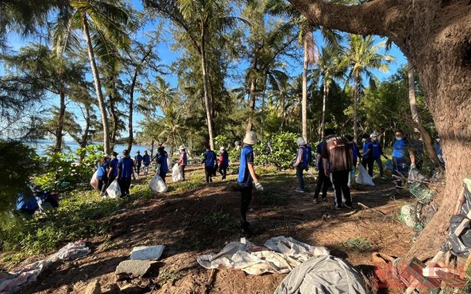 Estudiantes y voluntarios recogen basuras en la playa. (Fotografía: Nhan Dan)