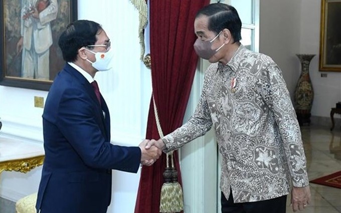 El canciller de Vietnam, Bui Thanh Son, se reúne con el presidente de Indonesia, Joko Widodo. (Fotografía: VNA)