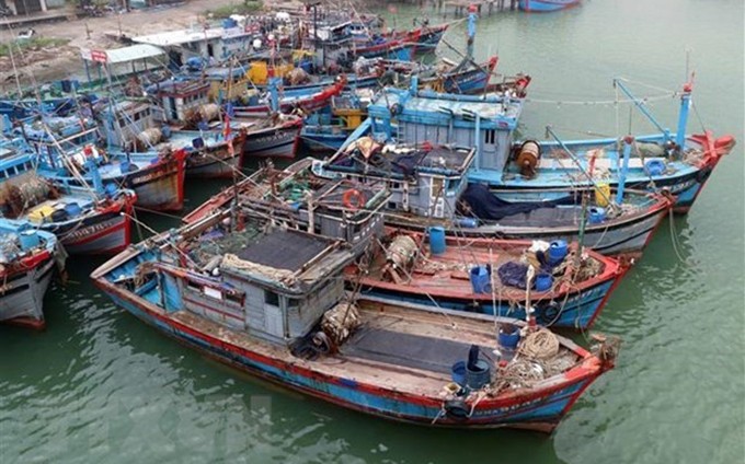 Barcos pesqueros en la ciudad de Da Nang. (Fotografía: VNA)