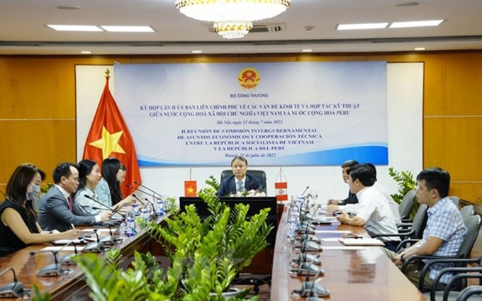 Representantes vietnamitas en la reunión. (Fotografía: VNA) 