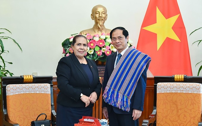 El ministro de Relaciones Exteriores de Vietnam, Bui Thanh Son, recibe a la embajadora de Timor Oriental. (Fotografía: baoquocte.vn)