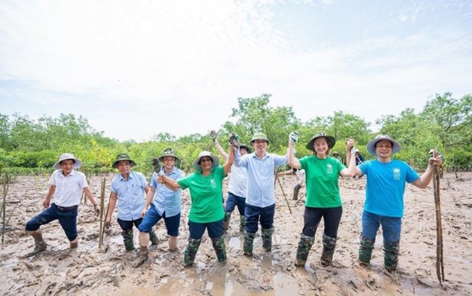 El PNUD continúa ayudando a la provincia de Thanh Hoa en la respuesta al cambio climático. (Fotografía: VNA)
