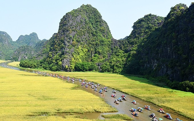 La belleza de Tam Coc, en la provincia de Ninh Binh, en la temporada de cosecha del arroz. (Fotografía: vietnamtourism.gov.vn)