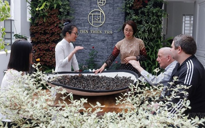 Enseñanza del arte del té vietnamita a extranjeros. (Fotografía: VNA) 