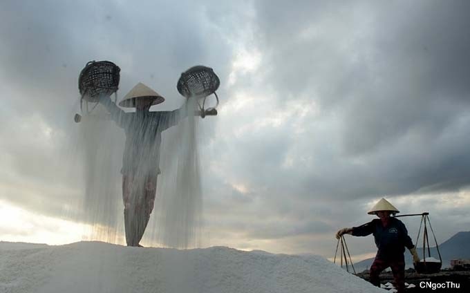 Campesinos de Hon Khoi durante el tiempo de cosecha (Fotografía: Nhan Dan)