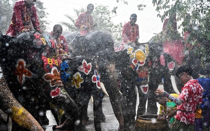 Celebraciones del festival Songkran en Tailandia. (Fotografía: VNA)