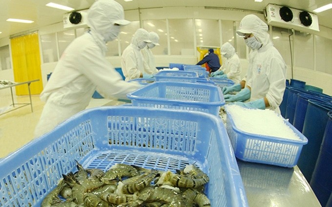 El camarón sigue siendo el principal producto de exportación de Vietnam. 